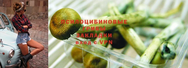 соль курить ск Дмитров