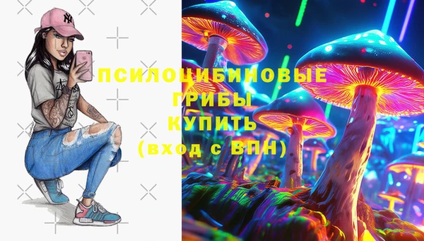 a pvp Дмитриев