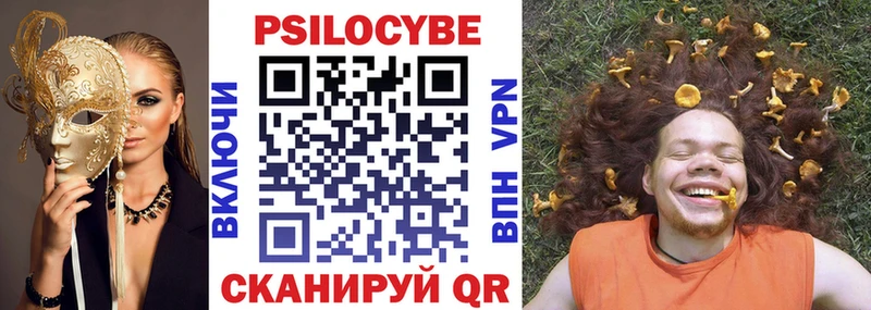 Галлюциногенные грибы Psilocybe  Иланский 
